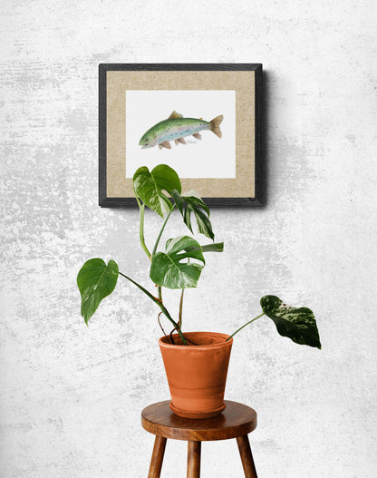 Classic Matte Paper Poster  Rainbow Trout Watercolour - Original Watercolour Art by Canadian Artist Pamela Paulenko, painting Ontario wildlife