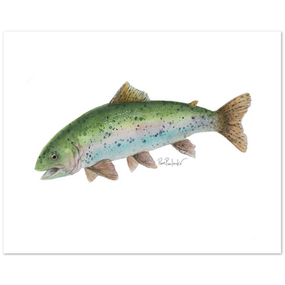 Classic Matte Paper Poster  Rainbow Trout Watercolour - Original Watercolour Art by Canadian Artist Pamela Paulenko, painting Ontario wildlife