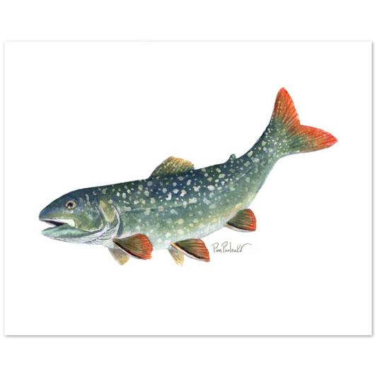 Classic Matte Paper Poster Lake Trout Watercolour - Original Watercolour Art by Canadian Artist Pamela Paulenko, painting Ontario wildlife