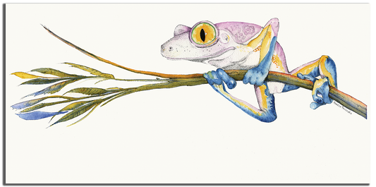 Pink Leopard Tree Frog  -   Limited Edition Giglee  21" x 10.5" - Original Watercolour Art by Canadian Artist Pamela Paulenko, painting Ontario wildlife