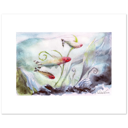 Rummynose Tetras Classic Matte Paper Poster - Original Watercolour Art by Canadian Artist Pamela Paulenko, painting Ontario wildlife