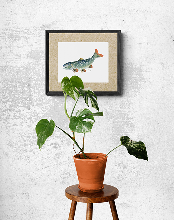 Lake Trout Fish Original - Original Watercolour Art by Canadian Artist Pamela Paulenko, painting Ontario wildlife